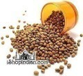 Nirav Desi Chori (Indian Adzuki Beans) - 4 lbs