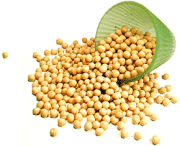 Nirav Yellow Whole Peas (White Vatana)