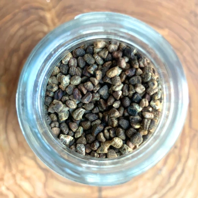 Burlap & Barrel Cloud Forest Cardamom Seeds - Grinder Jar